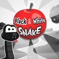 Black and white snake